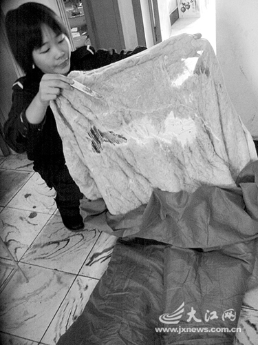 ރȲصƬuʺcW(xu)ͬߡ