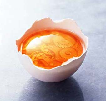 �õ�����(chu��ng  )�����(j��ng)��Ҿ��Ʒ