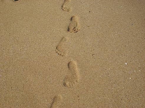 ʩ΄(chung  )I(y)ɹ