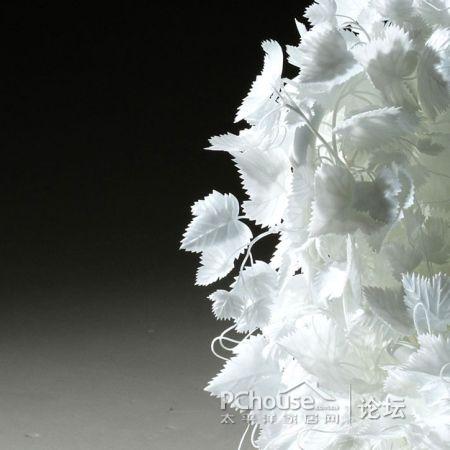 ���׵Ę�(sh��)�~�����Є�(chu��ng  )�⵫�ܹª�