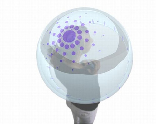 �o(w��)��Ǽ�֧�εĳ��ʽ���