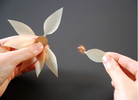 �������ͻ�� ���������������