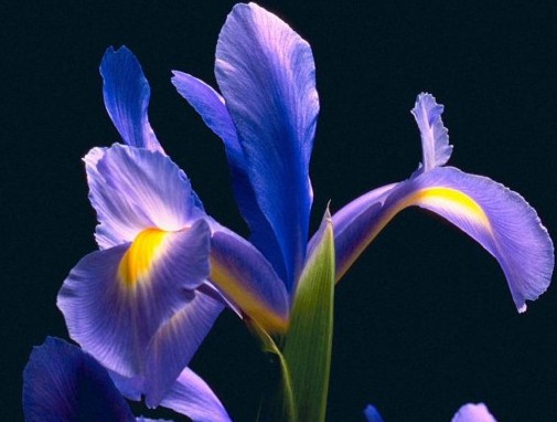 �L(f��ng)��2011 Ҋ(ji��n)�C���_�m�ĿƼ���(chu��ng  )��