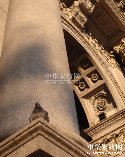 z׌á(mng)▪L(chng)}zӰِЄ(dng)Ļ