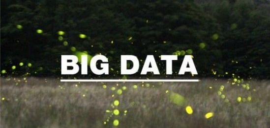 󔵓r(sh)δ(li)I(yng)N(xio)ľ