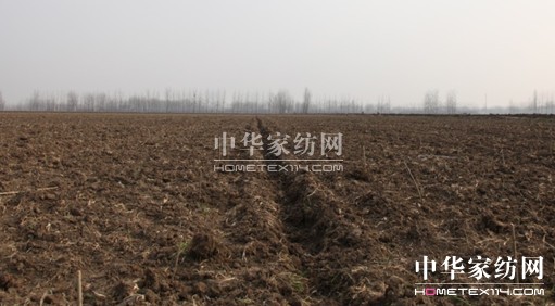 ýzIf(wn)B(ti)ɣ@ƌW(xu)ɣ