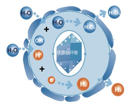 �{Ʒ�Ƽ���Ů�ԼҼ������o����