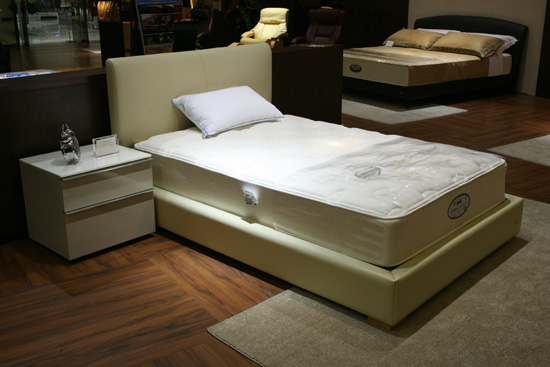 ֪l(shu)l(f)ϯ(mng)˼