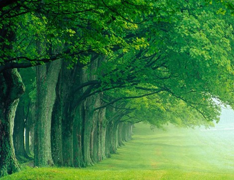 �W�ɼҼ������켃��˯���r(sh��)��