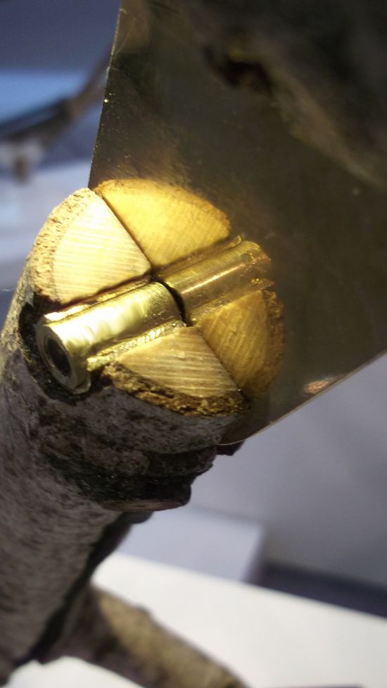 ��(chu��ng  )����ߣ���(sh��)֦����