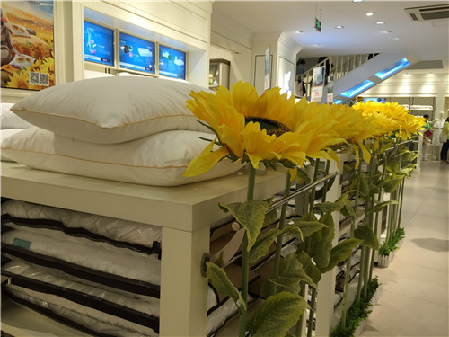 PʢҼ2015ﶬƷl(f)(hu )_(ki)