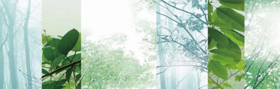 _mCҼ߀ԭRԭB(ti)ƽh(hun)