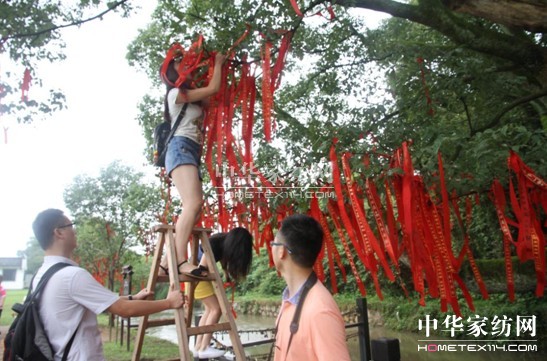 tҼϦo(hu )(dng)ЇF