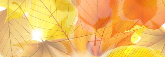 ˯ه(li)VioletCҼ