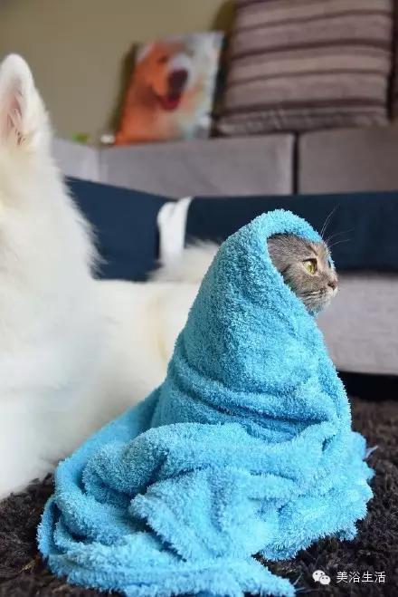 ԡëԌëҲv