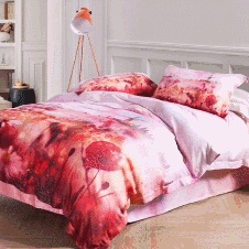 Ҽzĥë_(ki)ů˯Er(sh)