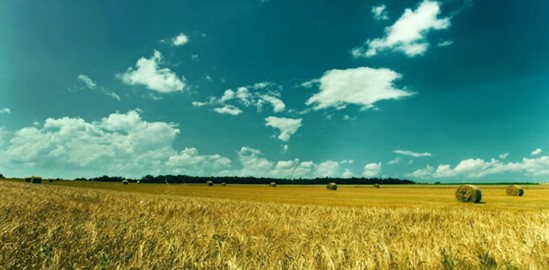 _mҼɭ˯ߡCСɭ