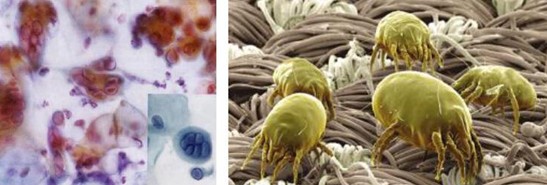 ܽ^f(wn)x(chng)x_mCҼ