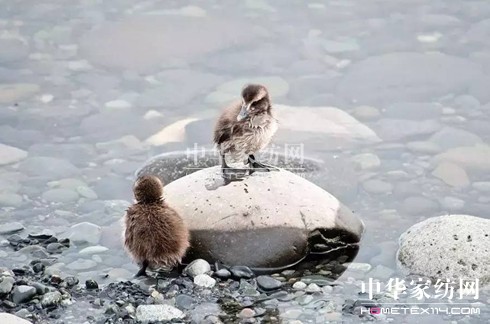 27f(wn)I(mi)²Ҽ""""