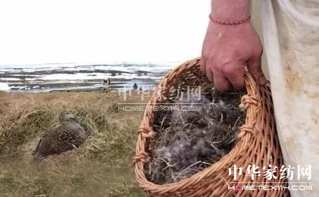 27f(wn)I(mi)²Ҽ""""