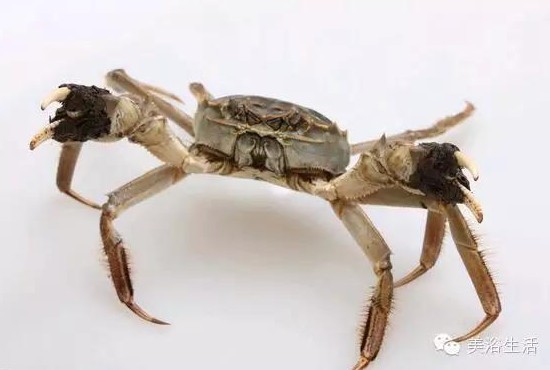 ԡÂĴlззSʳзȯзë