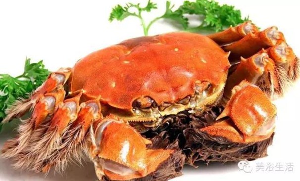 ԡÂĴlззSʳзȯзë