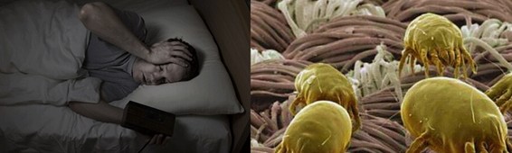 zR_(ki)B(ti)ܼҾ4.0r(sh)