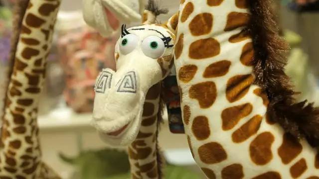 L(fng)Һ(yng)ĄPʢҾ^µ_(ki)I(y)Ȳȥ