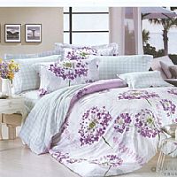 夢(mèng)想花季(紫)