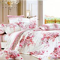 清風(fēng)似影(紅)