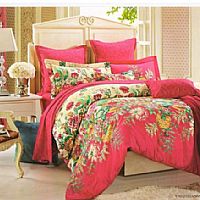 索菲的愛(ài)戀